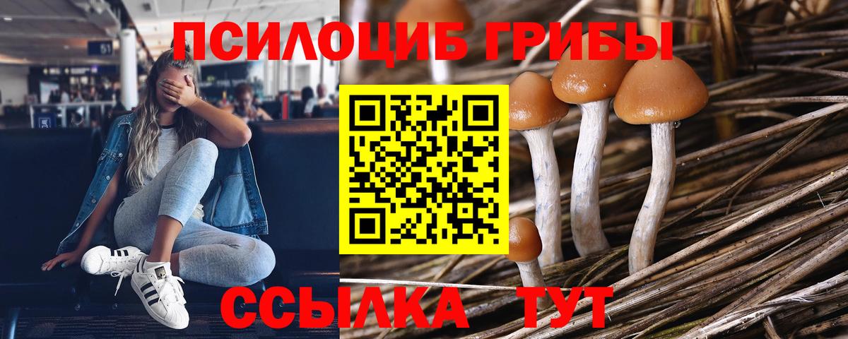 Псилоцибиновые грибы ЛСД  Вход с VPN  Кировск 