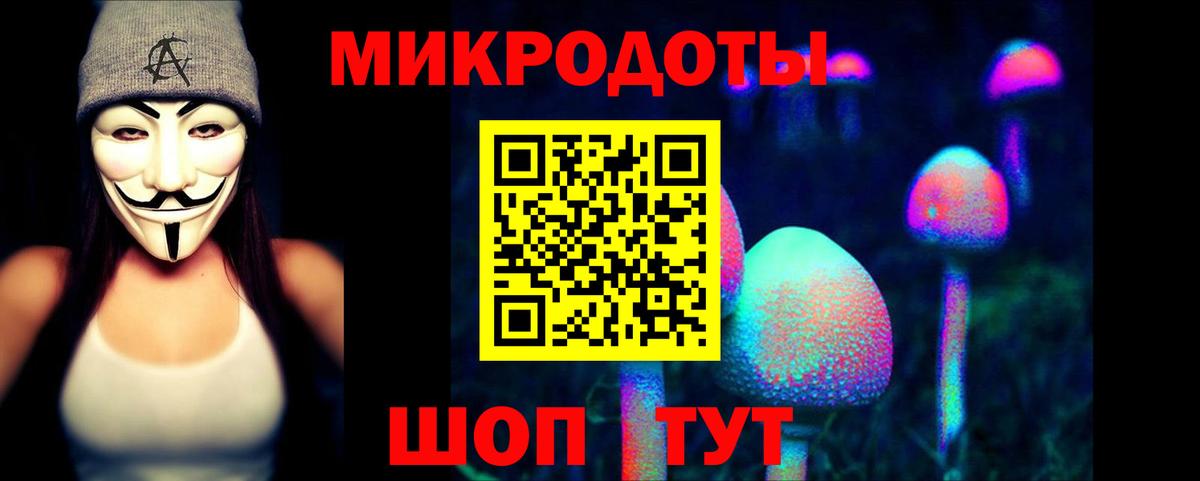 Псилоцибиновые грибы мицелий Кировск